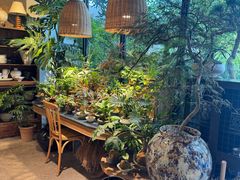 -自由生长植物工作室(深港花卉中心店)