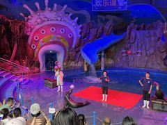 -烟台海昌鲸鲨海洋公园