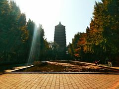 -玲珑塔公园