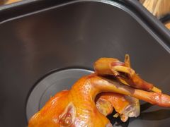 -鸽子窝(青塔店)