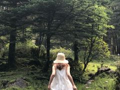 -硗碛藏寨·神木垒景区