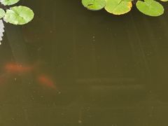 -烟台市博物馆