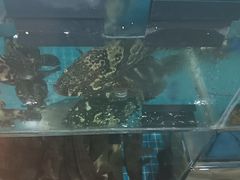 -岛中岛·海鲜大排档·万宁老字号(东澳店)