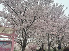 -花博汇(知音花月夜)