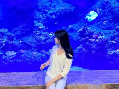 -西安华夏文旅水世界