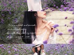 -紫颐香薰山谷景区