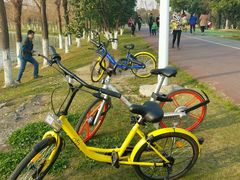 -艾溪湖湿地公园