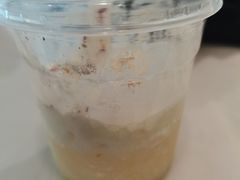 -飞行喵MR PILOT|猫舍·猫咖(静安大融城店)