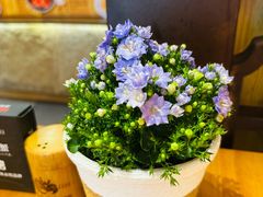 -莲花公园煎蟹·30年闽菜(火车站店)