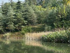 -白鹭湾湿地公园