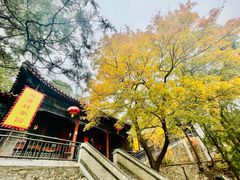 -香山公园