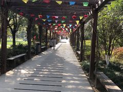 -白马涧龙池景区