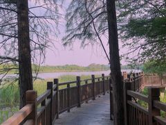 -东湖落雁景区