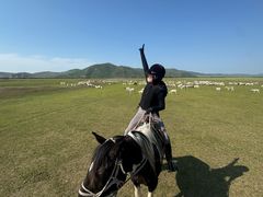 -额尔古纳黑山头绿野马帮骑马场