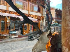 -银同牦牛肉火锅