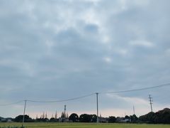 -上海佘山国家森林公园天马山园