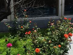 -东戴河风景区-止锚湾