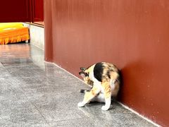 -宝通禅寺