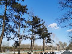 -东郊湿地公园