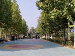 -青龙湖公园