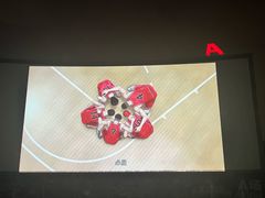 -枫花园汽车电影院(朝阳公园店)