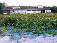 -上海怡沁园度假酒店