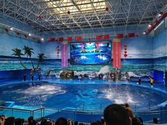 -多彩贵州城极地海洋世界