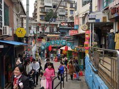 -猫咪博物馆(顶澳仔猫街店)