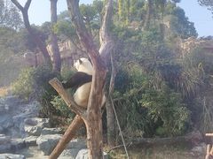 -宁波野生动物园