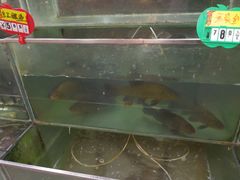 -老字号农家宴