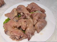 -丁老爷子苏香圆