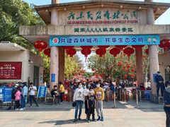 -广东茂名森林公园