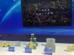 -东浩兰生上海世博展览馆