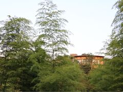 -莫干山郡安里度假酒店-桃尖中餐厅