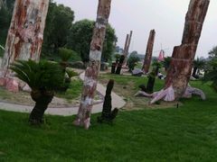 -南通洲际绿博园