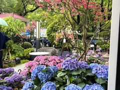 -双季花艺园艺市场(浦东店)