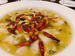 -茅庐毛血旺(烟台大悦城店)