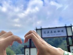 -江西阳明山国家森林公园