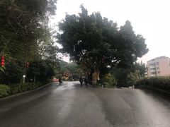 -金鸡山公园
