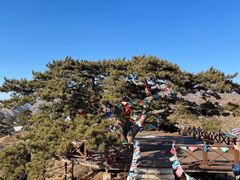 -五当召景区