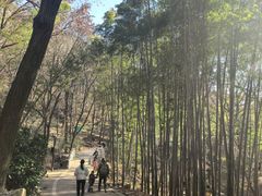 -虞山风景区