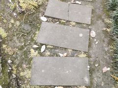 -温江公园