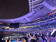 -南京奥林匹克体育中心-体育馆