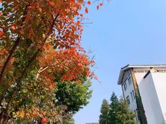 -观唐（国际）度假村温泉