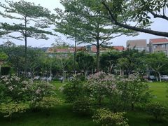 -厦门国家会计学院