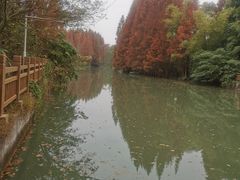 -桤木河湿地公园