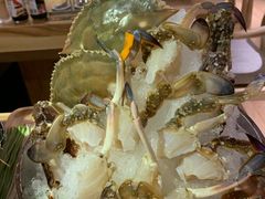 -尚海豆捞(乐虹坊店)