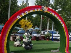 -栾川竹海野生动物园