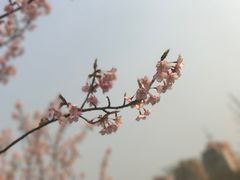 -上海植物园-4号门售票处