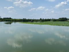 -大兴滨河森林公园